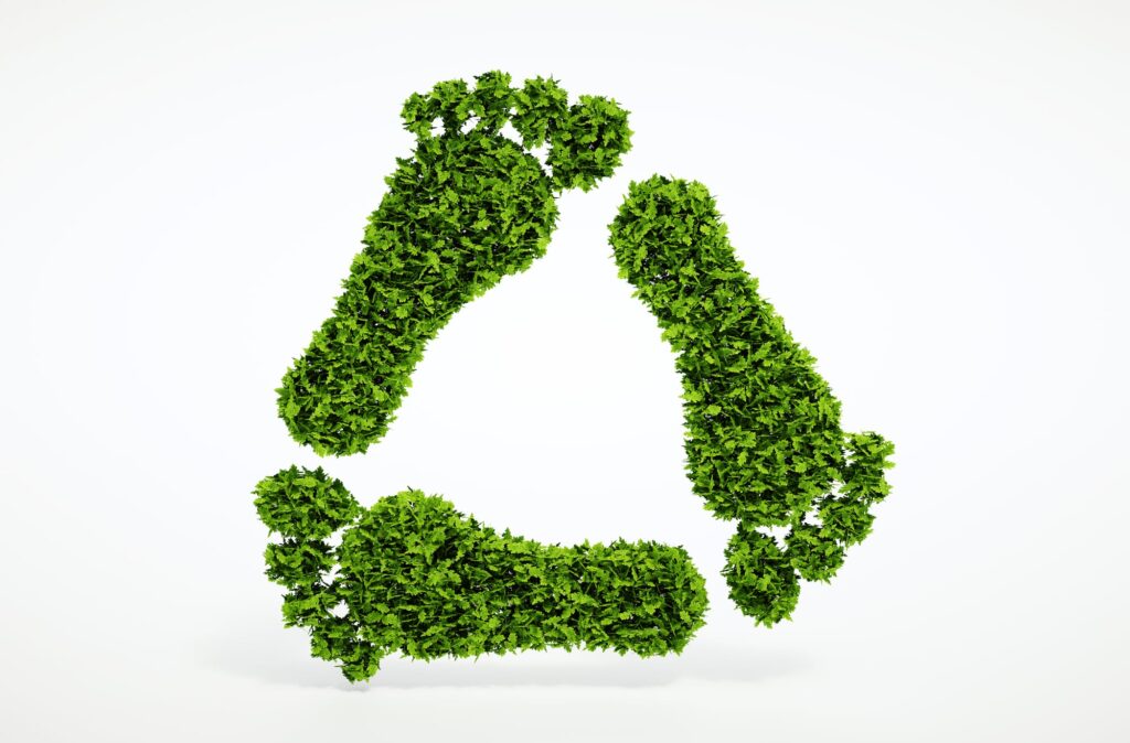Reducing Carbon Footprint - Making a Conscious Effort to Lower Our Environmental Impact